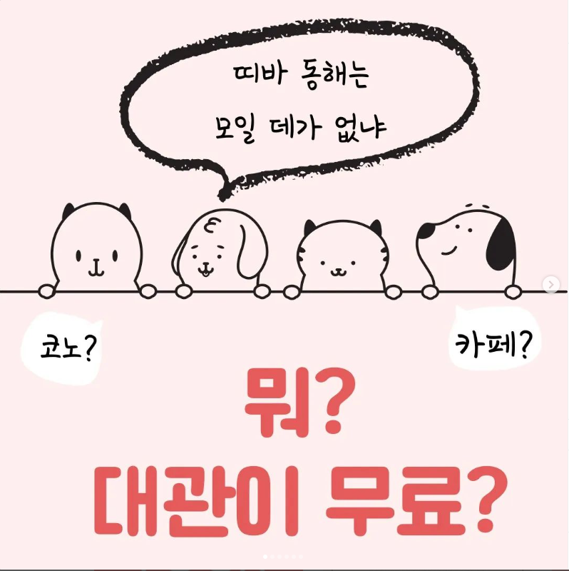 동해시에도 이런 공간이 있다니! 열림은 정말 천국이야~